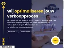 Sites similar to sellerbv.nl