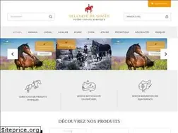 Sites similar to selleriedegozee.com