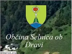 Sites similar to selnica.si