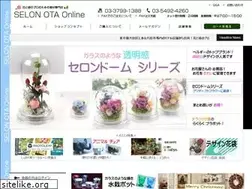 Sites similar to selon-ota.com