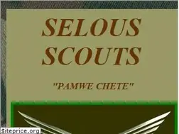 Sites similar to selousscouts.tripod.com