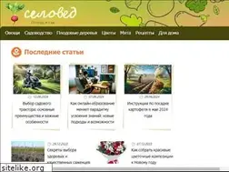 Sites similar to seloved.ru