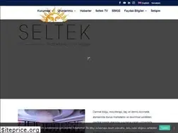 Sites similar to seltekgroup.com