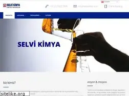 Sites similar to selvikimya.com