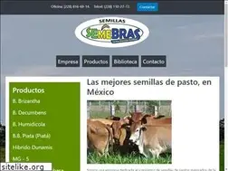 Sites similar to semebras.com.mx