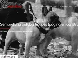 Sites similar to semprelluna.com