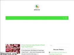 Sites similar to semuaikan.com