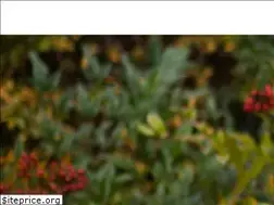 Sites similar to sendaikoikatsu.jp