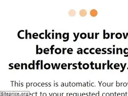 Sites similar to sendflowerstoturkey.com