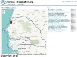 Sites similar to senegal.observation.org