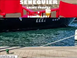Sites similar to senequier.com