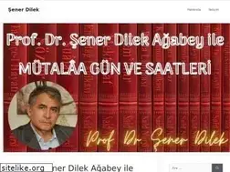 Sites similar to senerdilek.com
