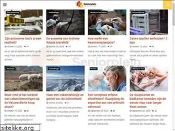 Sites similar to seniorplein.nl