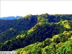 Sites similar to senmorikumi.jp
