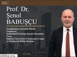 Sites similar to senolbabuscu.com