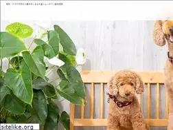 Sites similar to senri-ntah.com