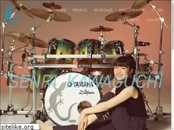 Sites similar to senridrums.com