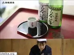 Sites similar to senryuu.jp