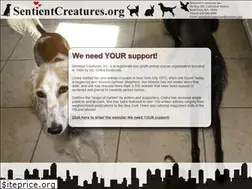 Sites similar to sentientcreatures.org
