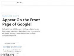 Sites similar to seo1x.com