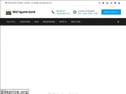 Sites similar to seouyumluicerik.com