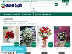 Sites similar to sepetcicek.com