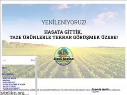 Sites similar to sepetibostan.com