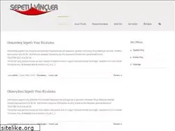 Sites similar to sepetlivincci.com