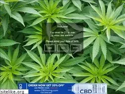 Sites similar to sequoiaseeds.yolasite.com