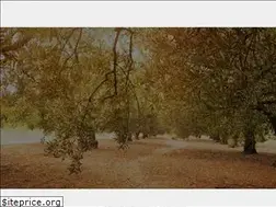 Sites similar to serafinoimports.com
