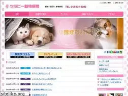 Sites similar to serapy.com