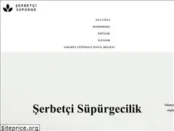 Sites similar to serbetcisupurgecilik.com