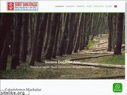 Sites similar to serefsanlioglu.com