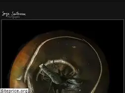 Sites similar to serge-sautereau.com
