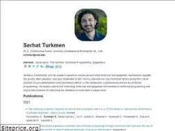 Sites similar to serhatturkmen.com