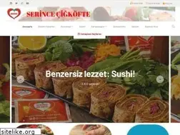 Sites similar to serincecigkofte.com