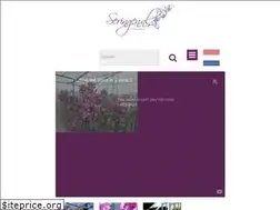 Sites similar to seringen.nl
