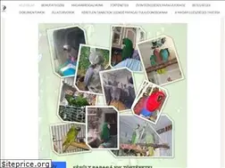 Sites similar to serultpapagajok.weebly.com