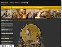 Sites similar to servalkittens.com