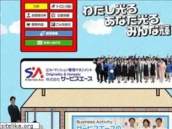 Sites similar to service-ace.com