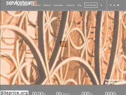 Sites similar to serviceteamit.co.uk