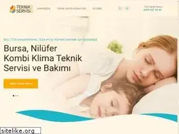 Sites similar to servisimbursa.com