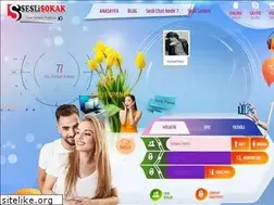Sites similar to seslisokak.com