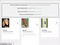 Sites similar to sesnng.fr