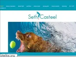 Sites similar to sethcasteel.com