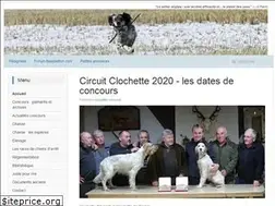 Sites similar to setter-anglais.fr
