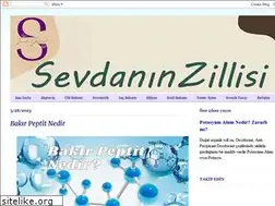 Sites similar to sevdaninzillisi.blogspot.com