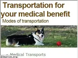 Sites similar to sevgimdogum.com