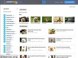 Sites similar to sevimlikopekler.com