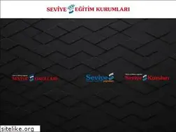 Sites similar to seviye.com.tr